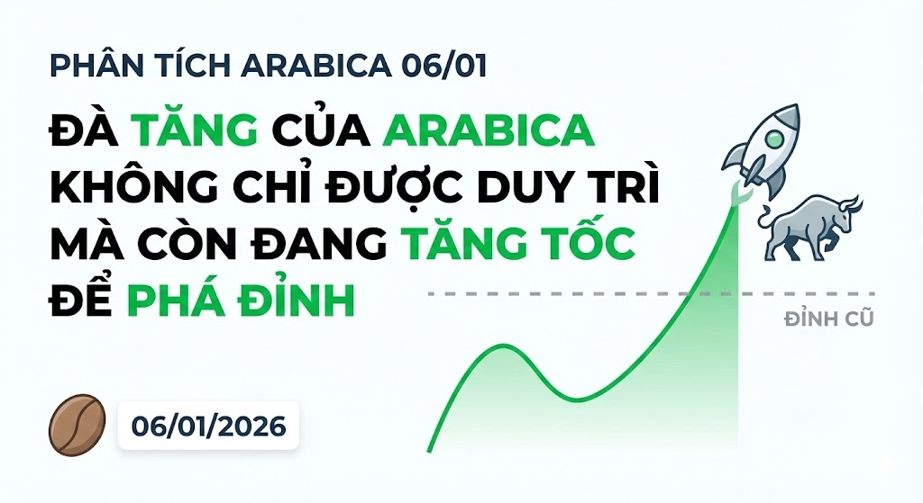 Phân tích Arabica 06/01: Đà tăng của Arabica không chỉ được duy trì mà còn đang tăng tốc để phá đỉnh